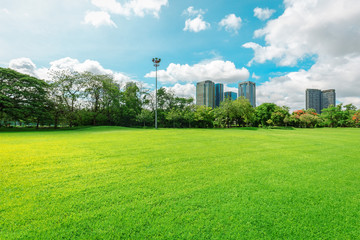 The lawn in the morning is sunny. There is a city and sky as the background.