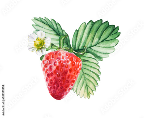 Watercolor red juicy strawberry with leaves. Food background, painted bright ...