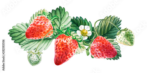 Watercolor red juicy strawberry with leaves. Food background, painted bright ...
