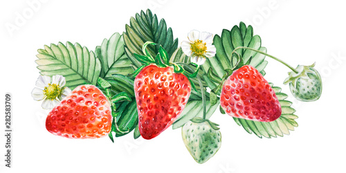 Watercolor red juicy strawberry with leaves. Food background, painted bright ...
