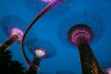 Gardens By The Bay Is A Park Or Botanic Garden In Singapore.