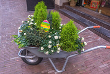 Wheelbarrows With Flowers In The City