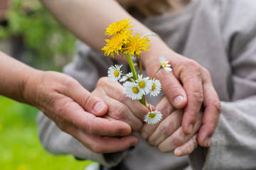 Wall Mural - Elderly care - hands, bouquet