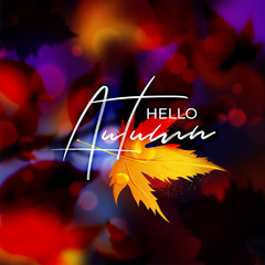 Sticker - Advertising poster or template design with calligraphy text of Hello Autumn on shiny blurred bokeh colorful lighting background.