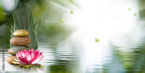 Fotografiet  image of a beautiful lotus flower on the water