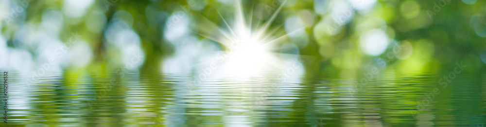 blurred image of natural background from water and plants - obrazy, fototapety, plakaty 