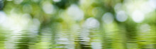 Blurred Image Of Natural Background From Water And Plants