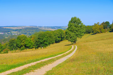 Sticker - Wiese im Erzgebirge - summer meadow in the Erzgebirge