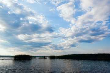 Wall Mural - Summer landscape - lake on a Sunny day