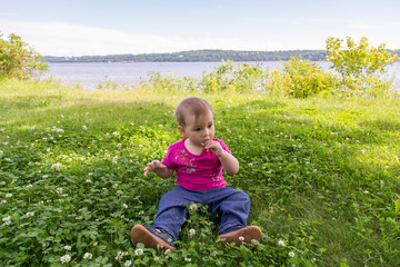 adorable pensive fair toddler girl sitting in clover patch tasting a flower, quebec city, quebec, ca