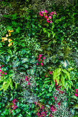 vertical plastic trees garden closeup