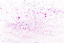 Violet And Pink Droplet Splashing Watercolor On White Backgroind.