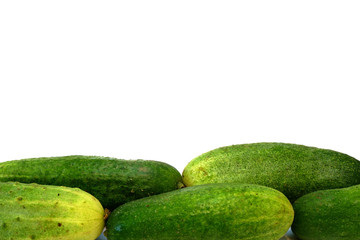 Wall Mural - Fresh cucumbers on white background. Free space for your text.