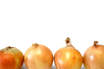 Wall Mural - Some golden onions on white background close up view. Free space for your text.