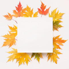 Wall Mural - Creative square white blank space surrounded by fallen leaves