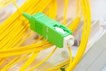 Fiber Optical Network With Single Pigtail Closeup