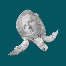 Face Of Ancient Statue On A Sea Green Turtle. Teal Color Background. Art, Adventure, Underwater Archeology Concept.