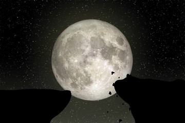 Wall Mural - Full Moon in night sky. (Elements of this image furnished by NASA.)