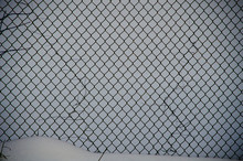 Iron Mesh Netting In Winter With Snow