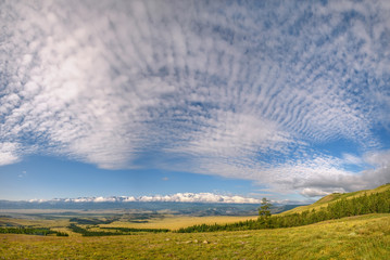 Wall Mural - mountains sky clouds flowers summer