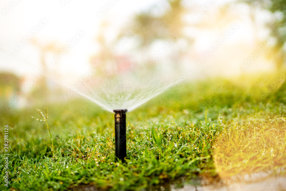 Close up details of automatic grass, lawn pop-up sprinkler - obrazy, fototapety, plakaty 