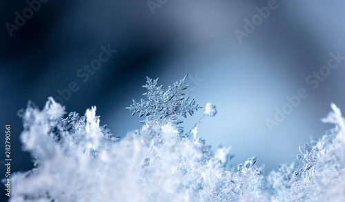 Cuadros en Lienzo winter photo of snowflakes in the snow