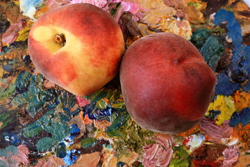 Wall Mural - peaches and apricot lies on a palette of paints