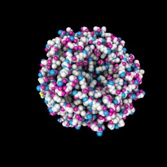 Molecular structure of typhoid toxin. Atoms are represented as spheres with conventional color coding: sulfur (yellow), carbon (white), oxygen (red), nitrogen (blue). 3d illustration