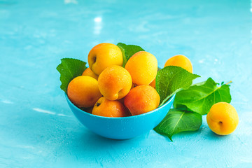 Wall Mural - Fresh sweet orange apricots in blue bowl on the blue concrete surface table, selective focus, shallow depth of the fields