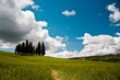 Toscania Val d'Orcia