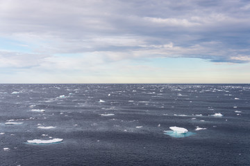 Arctic landscape - sea surface with ice floe