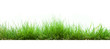 green grass isolate on white background