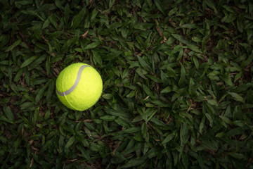 Background of Tennis ball on the Fresh green grass with copy space