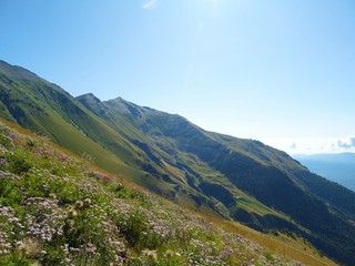 Nature, meadows and peaks that characterize the landscape of the Italian Alps in Val di Susa, near the town of 