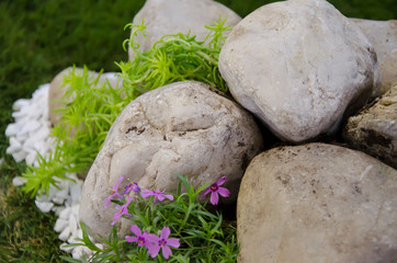 stone in garden