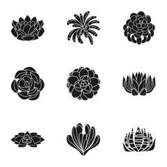 Poster - Succulent houseplant icon set. Simple set of 9 succulent houseplant vector icons for web design isolated on white background