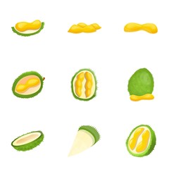 Poster - Tropical durian icon set. Cartoon set of 9 tropical durian vector icons for web design isolated on white background