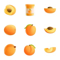 Poster - Eco peach icon set. Cartoon set of 9 eco peach vector icons for web design isolated on white background