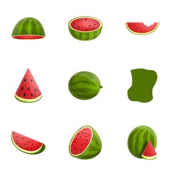 Poster - Organic watermelon icon set. Cartoon set of 9 organic watermelon vector icons for web design isolated on white background