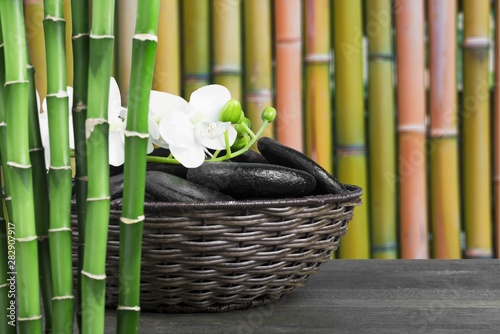 Valokuvatapetti Bamboo.