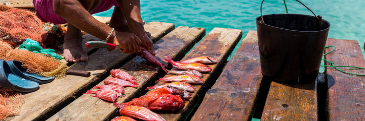 Wall Mural - Fisherman on a pier, panorama