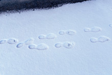 Footsteps Of A Man In The Snow On The Asphalt Street.
