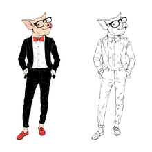 Pig Gentleman Dressed Up In Tuxedo. Anthropomorphic Animal Zodiac Sign Character. Chinese New Year