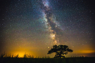 Wall Mural - Landscape with Milky way galaxy over the oak tree