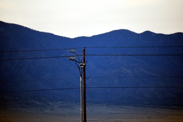 Telephone Pole 