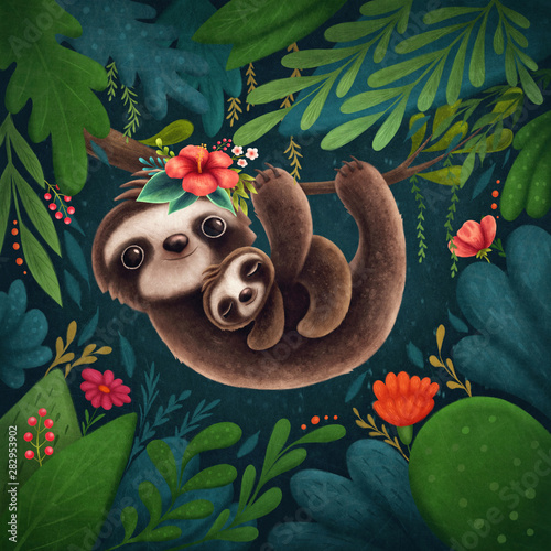 Foto Cute sloths