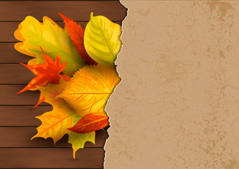 Wall Mural - Autumn background with  falling leaves on dark wood background with paper sheet. Place for text. Great for party invitation, autumn sale, wedding, web, fall festival. Vector illustration.