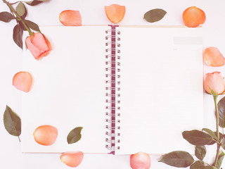 Wall Mural - rose with green leaves on notepad over white background.