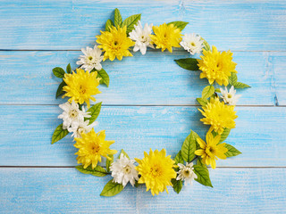 Wall Mural - close up white and yellow chrysanthemum flowers in circle shape on blue wood.
