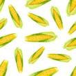 Corn background illustrations in digital painting or hand draw cartoon style. Concept healthy food,Organic Farm.